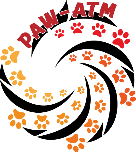 PAW-ATM 2024: Parallel Applications Workshop, Alternatives To MPI+X